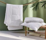 Ganzjahresbett im XXXLutz Prospekt Ganzjahresbett von billerbeck im aktuellen XXXLutz Prospekt für 29,99 €