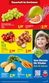 Kartoffeln im Lidl Prospekt in Kamp-Lintfort Aktueller Lidl Prospekt mit Kartoffeln, "LIDL LOHNT SICH", Seite 7