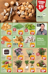 Grünpflanzen Angebot & Preis im aktuellen REWE Prospekt Grünpflanzen Angebot im aktuellen REWE Prospekt auf Seite 7