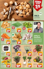 Ähnliche Edelrose Angebote im Prospekt "Dein Markt" von REWE Ähnliches Angebot bei REWE in Prospekt "Dein Markt" gefunden auf Seite 7