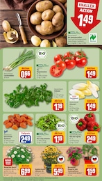 Bornholm-Margerite Angebot im aktuellen REWE Prospekt auf Seite 7