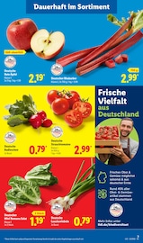 Aktueller Lidl Prospekt mit Äpfel, "LIDL LOHNT SICH", Seite 5