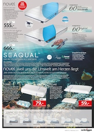 Kissen Angebot im aktuellen Zurbrüggen Prospekt auf Seite 7