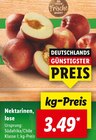 Aktuelles Nektarinen, lose Angebot bei Lidl in Dresden ab 3,49 €