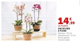 Promo Orchidée 2 Tiges à 14,99 € dans le catalogue U Express à Saint-Saturnin-lès-Avignon