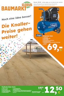 Aktueller Globus-Baumarkt Prospekt "Immer eine Idee besser" Seite 1 von 8 Seiten