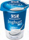 Aktuelle Joghurt Angebote bei Netto mit dem Scottie in Cottbus Aktuelles Naturjoghurt Angebot bei Netto mit dem Scottie in Cottbus ab 0,99 €