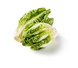 Deutscher Mini Romana bei Lidl im Sassnitz Prospekt für 1,52 €