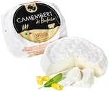 Aktuelles Camembert di Bufala Angebot bei REWE in Stuttgart ab 2,29 €