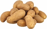 EDEKA Stadtlohn - Deutschland Speisekartoffeln Angebot im Prospekt Deutschland Speisekartoffeln bei EDEKA im Stadtlohn Prospekt für 2,99 €