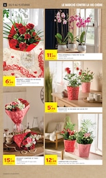 Offre Orchidée dans le catalogue Intermarché Hyper du moment à la page 16
