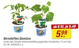 toom Baumarkt - Veredeltes Gemüse Angebot im Prospekt Veredeltes Gemüse bei toom Baumarkt im Prospekt "" für 5,49 €