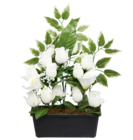 Jardinière Roses et Arums 20 Têtes en promo chez Gifi Courbevoie à 9,90 €