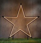 Gartenstecker "Neon" Angebote bei Hagebaumarkt Mülheim für 24,99 €