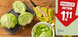 Eisbergsalat Angebote bei REWE Offenbach für 1,11 €