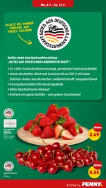 Erdbeeren im Penny Prospekt in Salzgitter Aktueller Penny Prospekt mit Erdbeeren, "Wer günstig will, muss Penny.", Seite 9