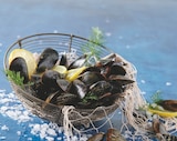 MOULES DE CORDE DE MÉDITERRANÉE - FILIÈRE AUCHAN "CULTIVONS LE BON" en promo chez Auchan Supermarché Aulnay-sous-Bois à 5,99 €