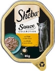 Katzennahrung Angebote von Sheba bei REWE Lüdenscheid für 0,49 €