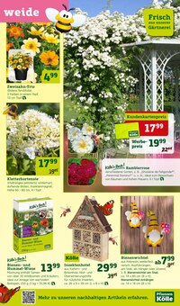 Gartenzwerg Angebot im aktuellen Pflanzen Kölle Prospekt auf Seite 5