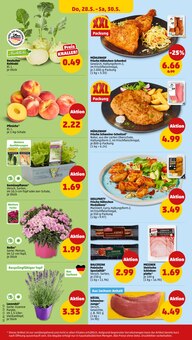 Blumen im Penny Prospekt "Wer günstig will, muss Penny." mit 40 Seiten (Erfurt)
