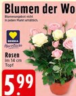 Rosen bei EDEKA im Sundern Prospekt für 5,99 €