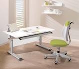 Aktuelles Schreibtisch Angebot bei Möbel Martin in Ludwigshafen (Rhein) ab 49,99 €