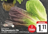 EDEKA Anröchte - Mini-Romanasalat-Mix Angebot im Prospekt Mini-Romanasalat-Mix bei EDEKA im Anröchte Prospekt für 1,11 €