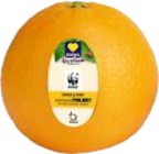 Orangen von EDEKA im aktuellen EDEKA Prospekt für 2,99 €