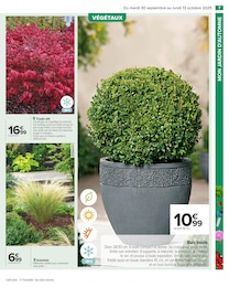 Offre Buis dans le catalogue Carrefour du moment à la page 9