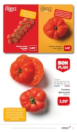 Prix et réduction Tomate Cerise dans le prospectus Colruyt en cours Offre Tomate Cerise dans le catalogue Colruyt du moment à la page 3