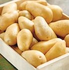 Promo Pommes de terre de consommation Intermarché Terroirs à 1,59 € dans le catalogue Intermarché Contact à Étrelles