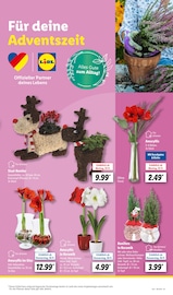 Aktueller Lidl Prospekt mit Weihnachtsdekoration, "LIDL LOHNT SICH", Seite 5