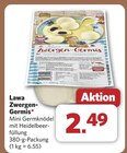 Zwergen-Germis von Lawa für 2,49 € bei combi im Angebot Zwergen-Germis von Lawa im aktuellen combi Prospekt