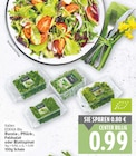 Rucola-, Pflück-, Feldsalat oder Blattspinat von EDEKA Bio im aktuellen E center Prospekt