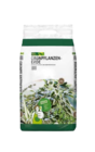 Aktuelles GRÜN ERLEBEN GRÜNPFLANZENERDE Angebot bei ROSENGUT Langerwisch in Potsdam ab 5,99 €