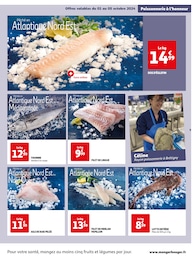 Offre Filet De Poisson dans le catalogue Auchan Hypermarché du moment à la page 9