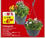 toom Baumarkt Rodgau Prospekt mit  im Angebot für 4,99 €