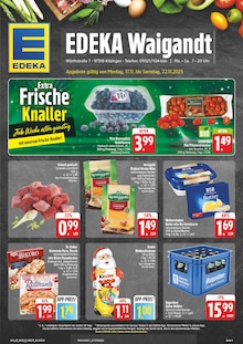 Aktueller EDEKA Prospekt für Kitzingen mit  Seiten