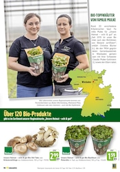 Ähnliche Trüffel Angebote im Prospekt "Aktuelle Angebote" von EDEKA in Ulm Ähnliche Angebote wie Trüffel im Prospekt "Aktuelle Angebote" auf Seite 9 von EDEKA in Ulm
