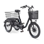 Aktuelles E-Lasten-Dreirad Angebot bei Lidl in Koblenz ab 2.499,00 €