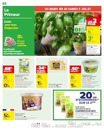 Offre Basilic dans le catalogue Carrefour du moment à la page 36