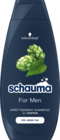 Shampoo Angebot in Bilsen Shampoo im aktuellen Prospekt bei BUDNI in Bilsen
