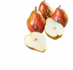 Netto Marken-Discount Twistringen - Birne Sweet Sensation Angebot im Prospekt Birne Sweet Sensation bei Netto Marken-Discount im Twistringen Prospekt für 2,49 €