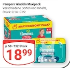 Aktuelles Windeln Maxipack Angebot bei GLOBUS in Braunschweig ab 18,99 €