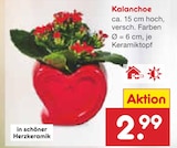 Netto Marken-Discount Reutlingen Prospekt mit  im Angebot für 2,99 €