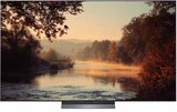 OLED evo im Angebot bei expert in Homburg OLED evo Angebote von LG bei expert Homburg für 1.899,00 €