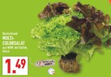 Multi-Colorsalat Angebote bei Marktkauf Recklinghausen für 1,49 €