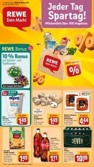 REWE Prospekt "Dein Markt" mit  Seiten (Paderborn)