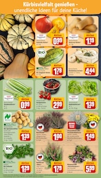 Pflanzen Angebot & Preis im aktuellen REWE Prospekt Pflanzen Angebot im aktuellen REWE Prospekt auf Seite 7