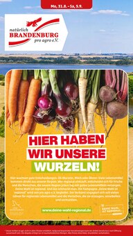 Wodka im Penny Prospekt "Wer günstig will, muss Penny." mit 47 Seiten (Chemnitz)